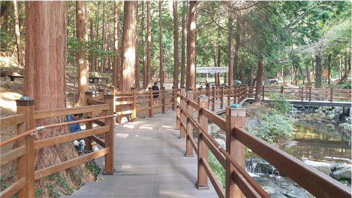 ▲ 미평 산림욕장 무장애 나눔길