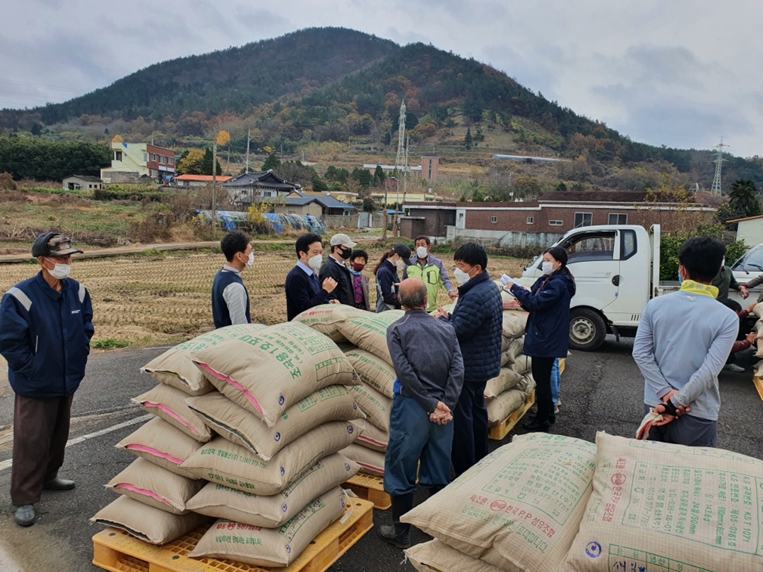 ▲ 여수시 공공비축미곡 수매현장 (자료사진)