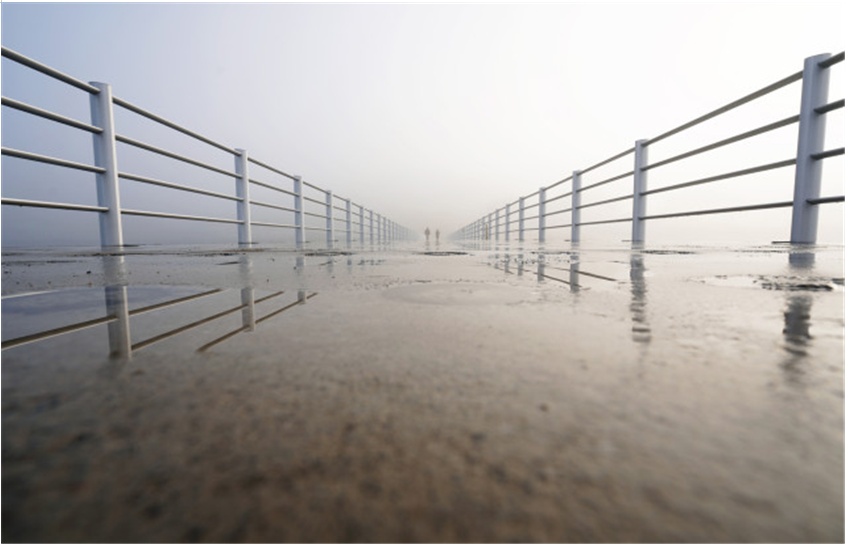 ▲ 임영기, 진섬다리1 (캔버스 C-Print, 80.3x116.8cm, 2023)