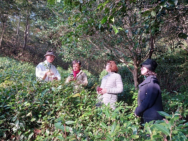 ▲ 지리산 야생차에 대해 설명하는 현장스님ⓒ 오문수