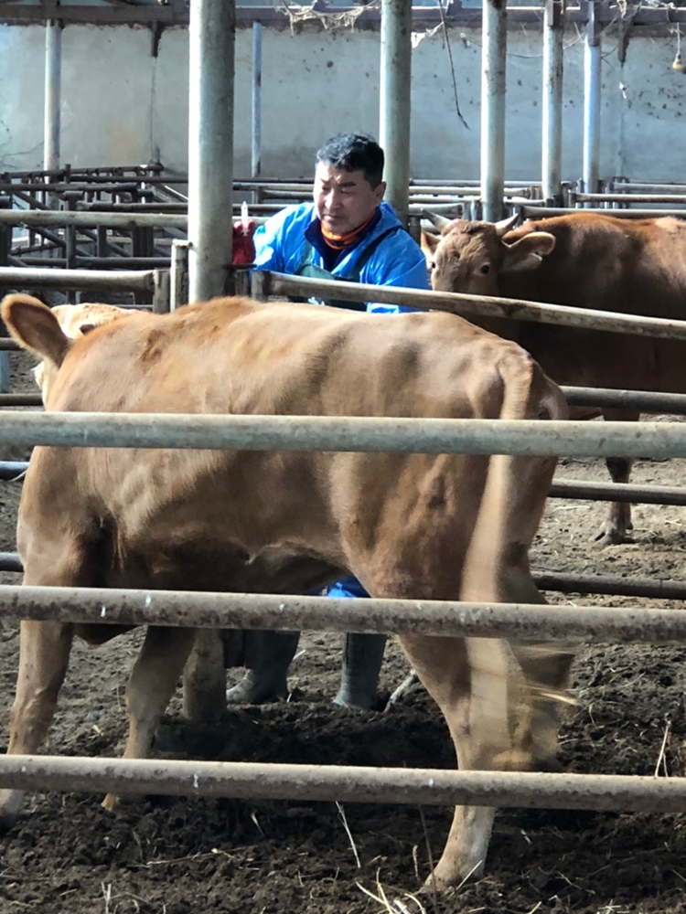 ▲ 여수시한우협회 이정만 회장