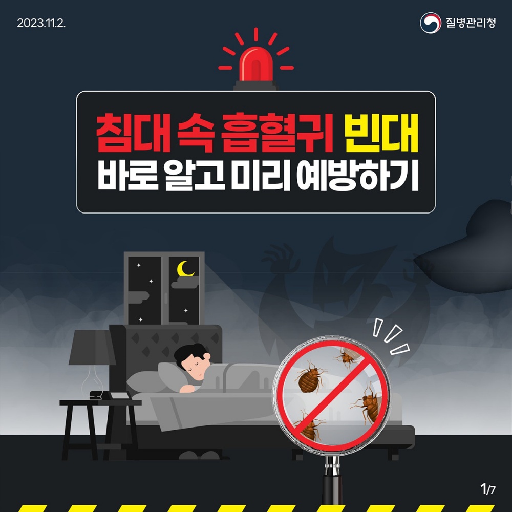 ▲ 빈대 집중 점검 및 방제 기간