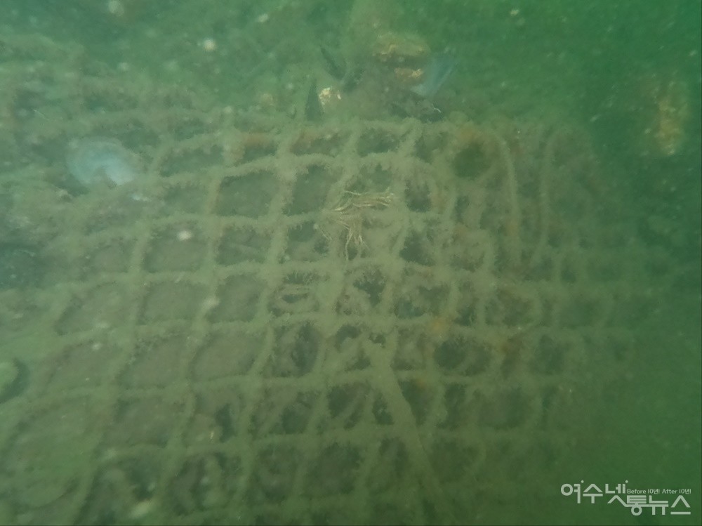▲여수 국동항 파제제 부근 바다에 가라앉은 폐그물이다.  ⓒ박근호