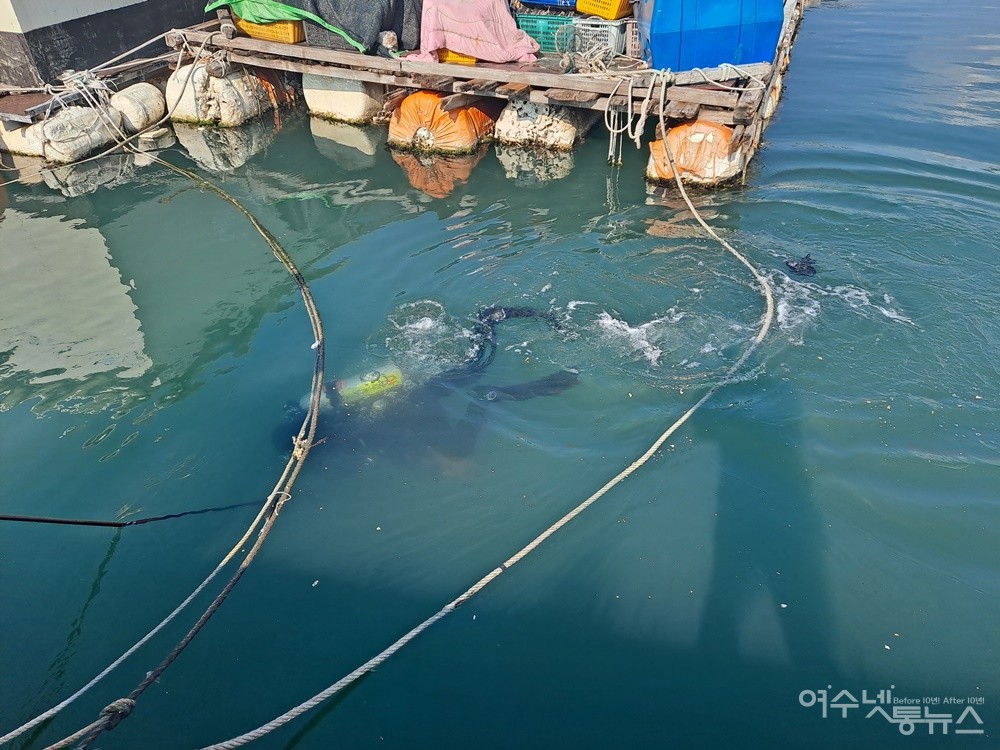 ▲(사)해양환경인명구조단 여수구조대 박근호 대장이 잠수하며 바닷속을 들여다보고 있다. ⓒ조찬현
