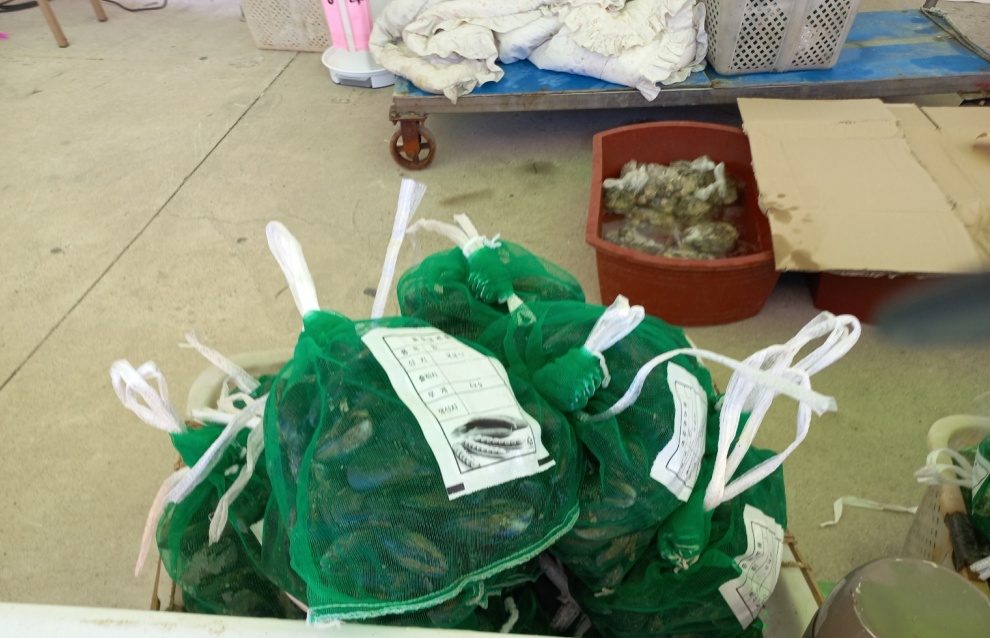 ▲ 제1회 여수웅천홍합페스티벌에서 판매하는 홍합