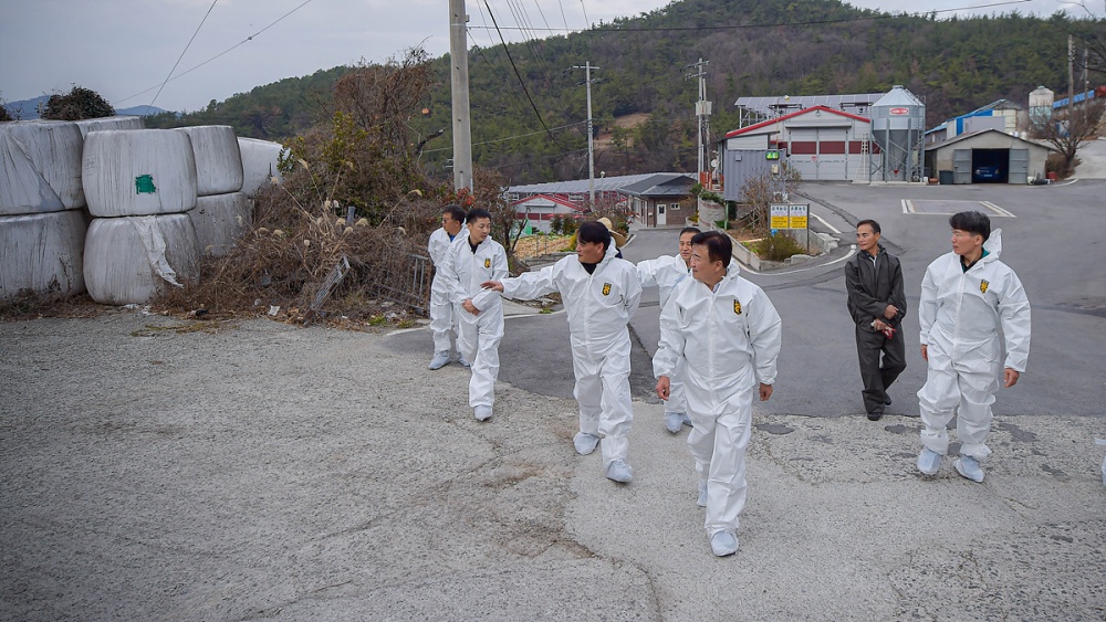 ▲ 고병원성 조류인플루엔자 차단방역 점검하는 정기명 시장