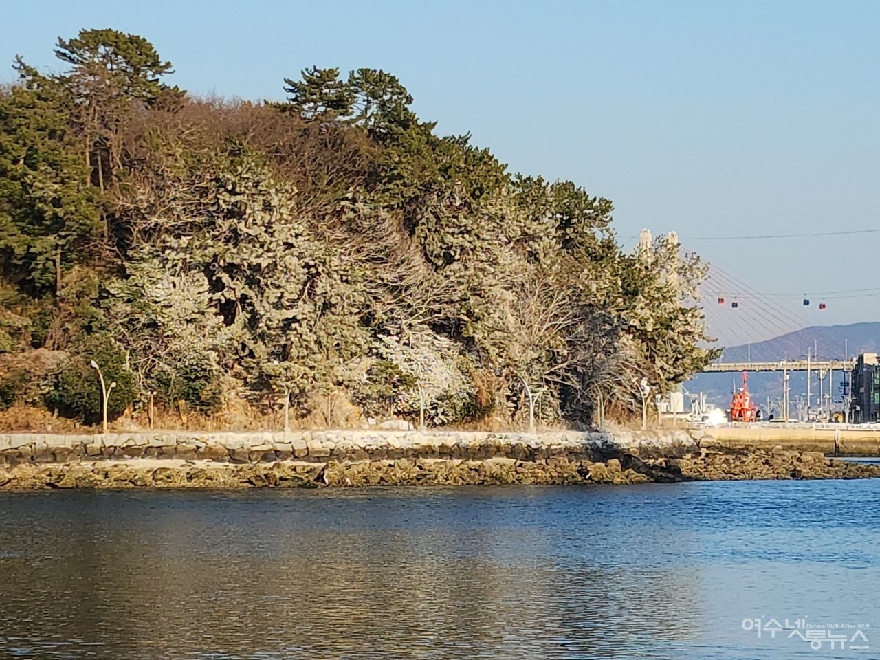 ▲ 장군도를 온통 하얗게 뒤덮은 가마우지 배설물 ⓒ심명남