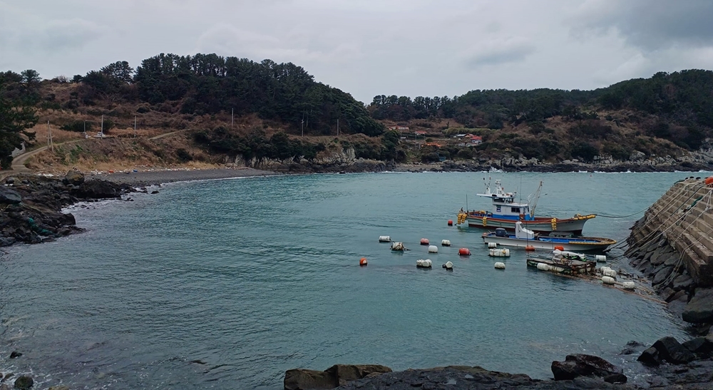 ▲마을 어선이 6척인데 동고지 방파제에는 고작 배 2척만 세울 수 있다.