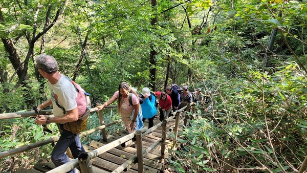 ▲  산행 (자료사진)