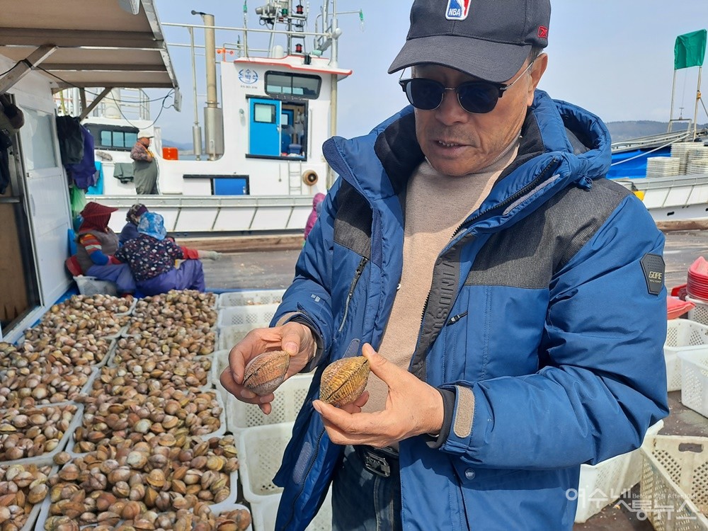 ▲도실마을 김영관 어촌계장이 “새조개가 이렇게 많이 오기는 10년 만에 처음이라며” 튼실한 새조개를 보여 준다.  ⓒ조찬현