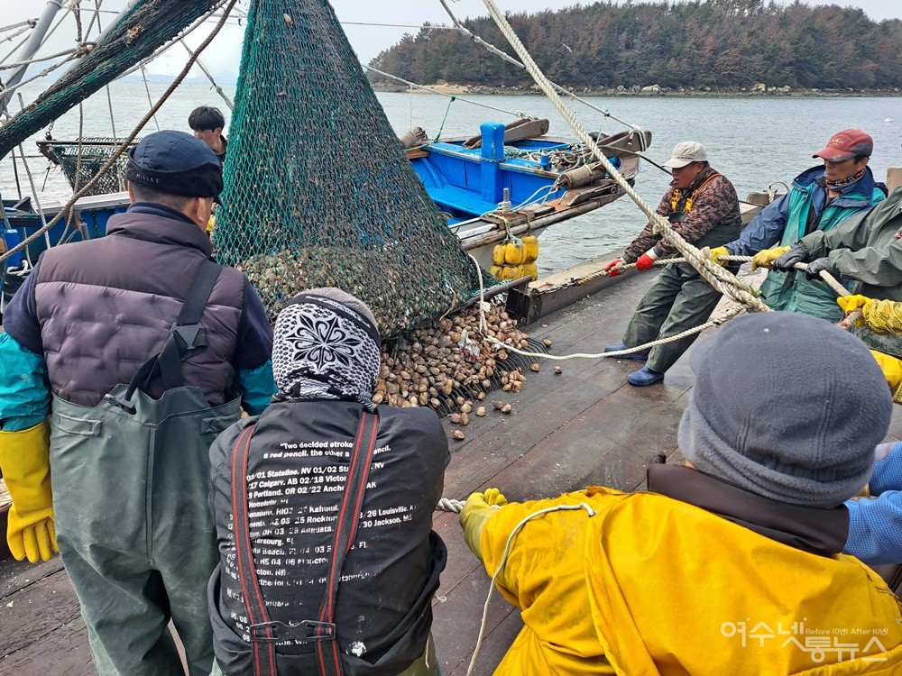 ▲새조개 채취선이 바지선에 도착하자 도실마을 어촌계 계원들이 그물망의 밧줄을 힘껏 당긴다. ⓒ조찬현