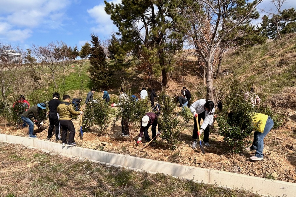 ▲ 제79회 식목일 맞아 이순신공원에 나무를 심고 있다.