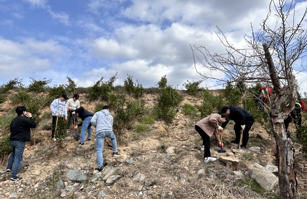 ▲ 제79회 식목일 맞아 이순신공원에 나무를 심고 있다.