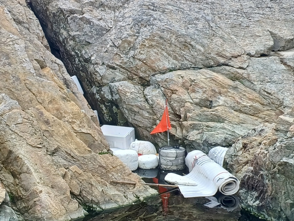 ▲ 삼천섬정책연구소가 거문도 섬을 탐방했다.