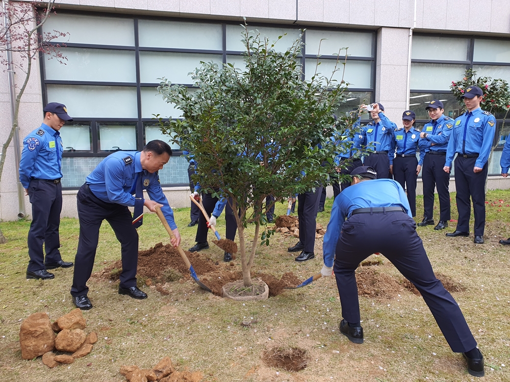 ▲ 애기동백나무를 심고 있다.