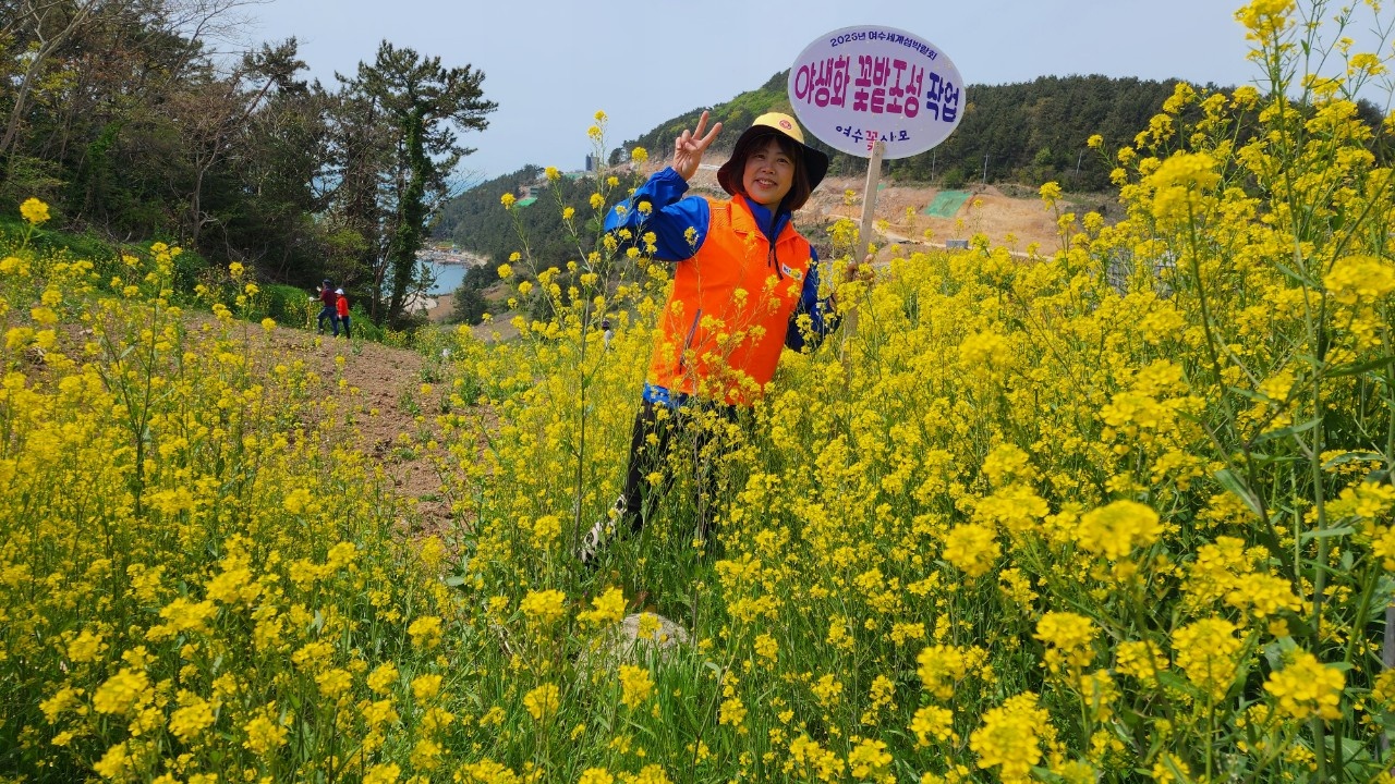 ▲ 꽃사모 월호도 야생화 꽃밭가꾸기 활동