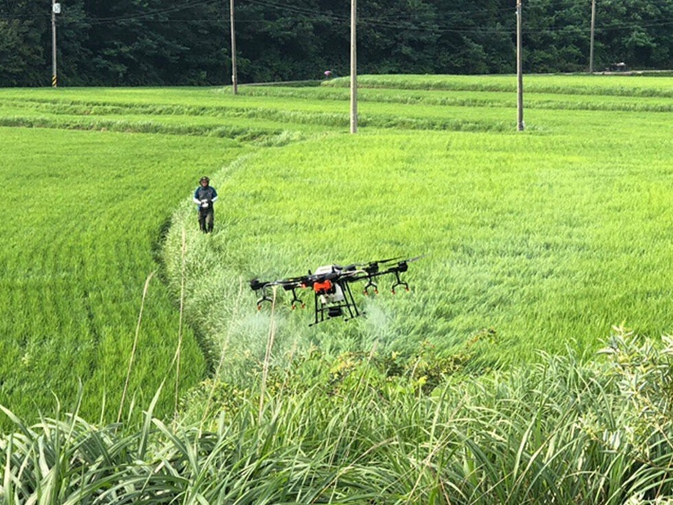 ▲드론을 활용한 농작물 재배 모습(여수넷통뉴스 자료사진)