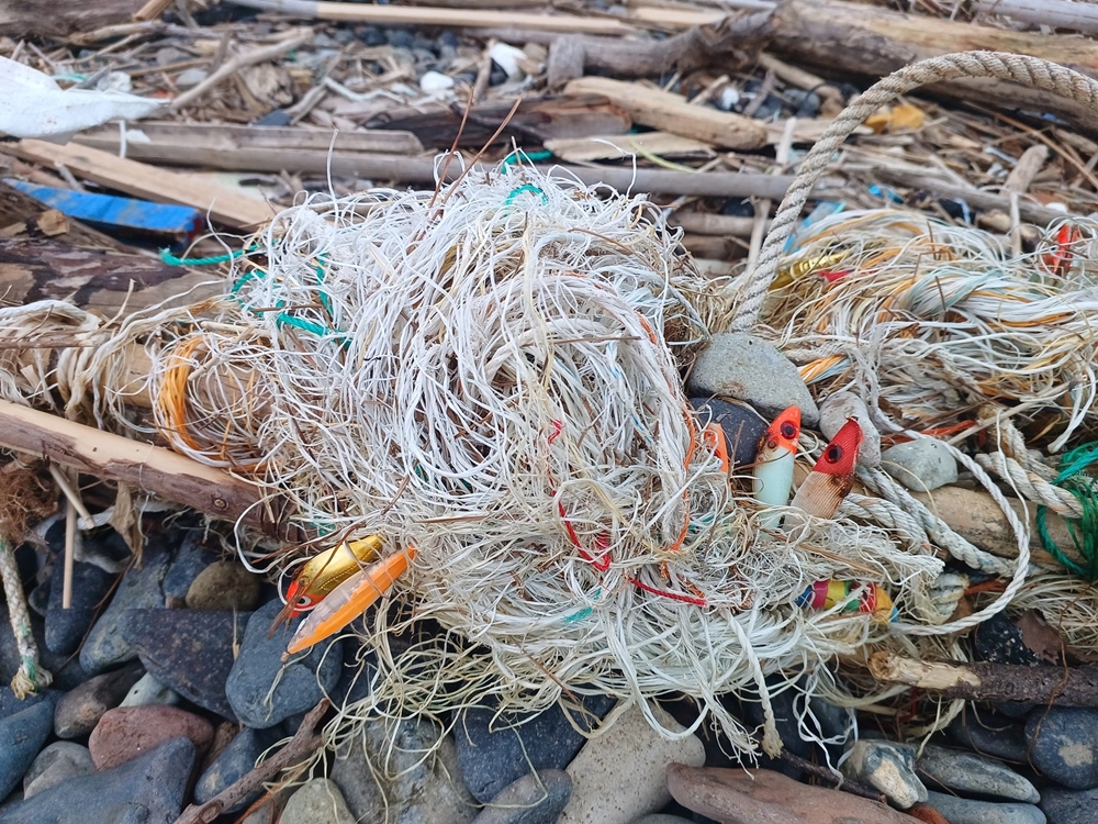 ▲ 폐그물에 걸려 떠밀려온 애깅낚시바늘이 뒤엉켜 있다
