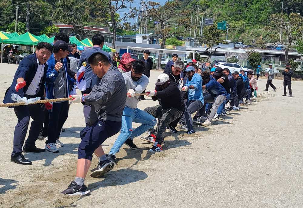 ▲ ‘돌산읍민의 날 및 제11회 읍민 한마음 체육대회’에서 면민들이 줄다리기를 하고 있다. 
