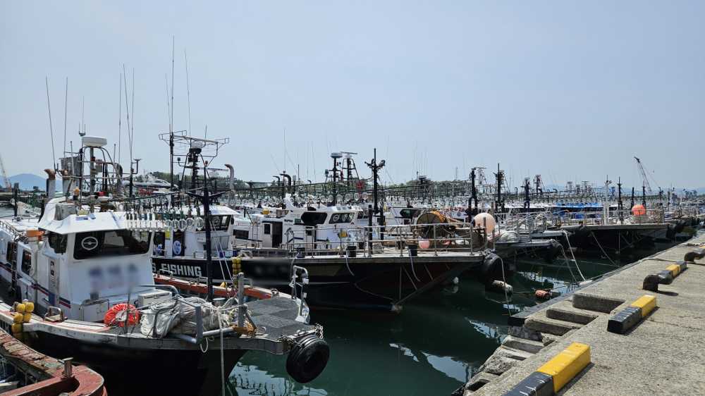 ▲ 국동항에 계류중인 낚시어선