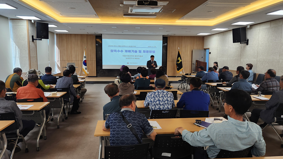 ▲ 신품종 찰옥수수 재배기술교육