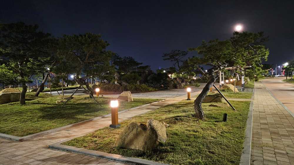 ▲  남산공원 내 정원