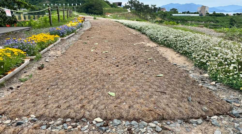 ▲ 충용지 둘레길 꽃길 조성작업
