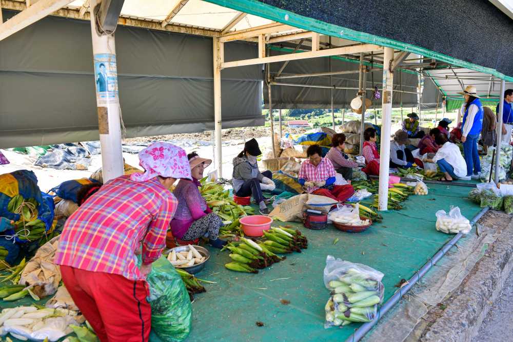 ▲ 화양면 용주마을 할머니 장터