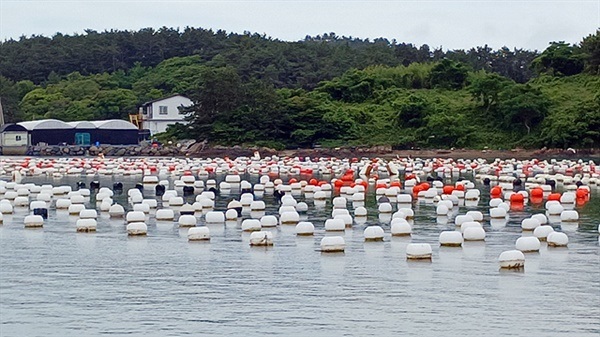 ▲ 서쪽 연안 항로에는 양식장이 엄청나게 많아 초행길인 대원들이 힘들었다. ⓒ 오문수