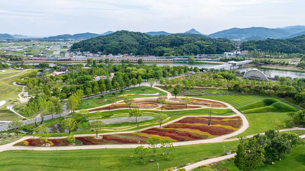 ▲ 파도처럼 물결치는 맨드라미의 장관