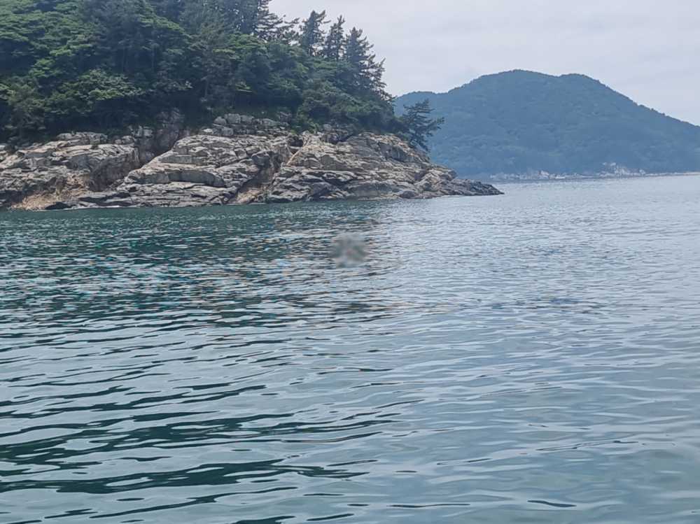 ▲ 숨진 낚시객이 발견된 안도 앞바다