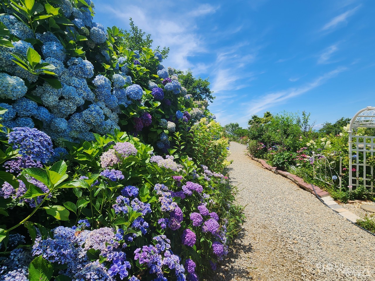 ▲ 전라남도 예쁜정원 콘테스트에서 최우수상을 수상한 농부의 정원 그로브 산책로 ⓒ심명남
