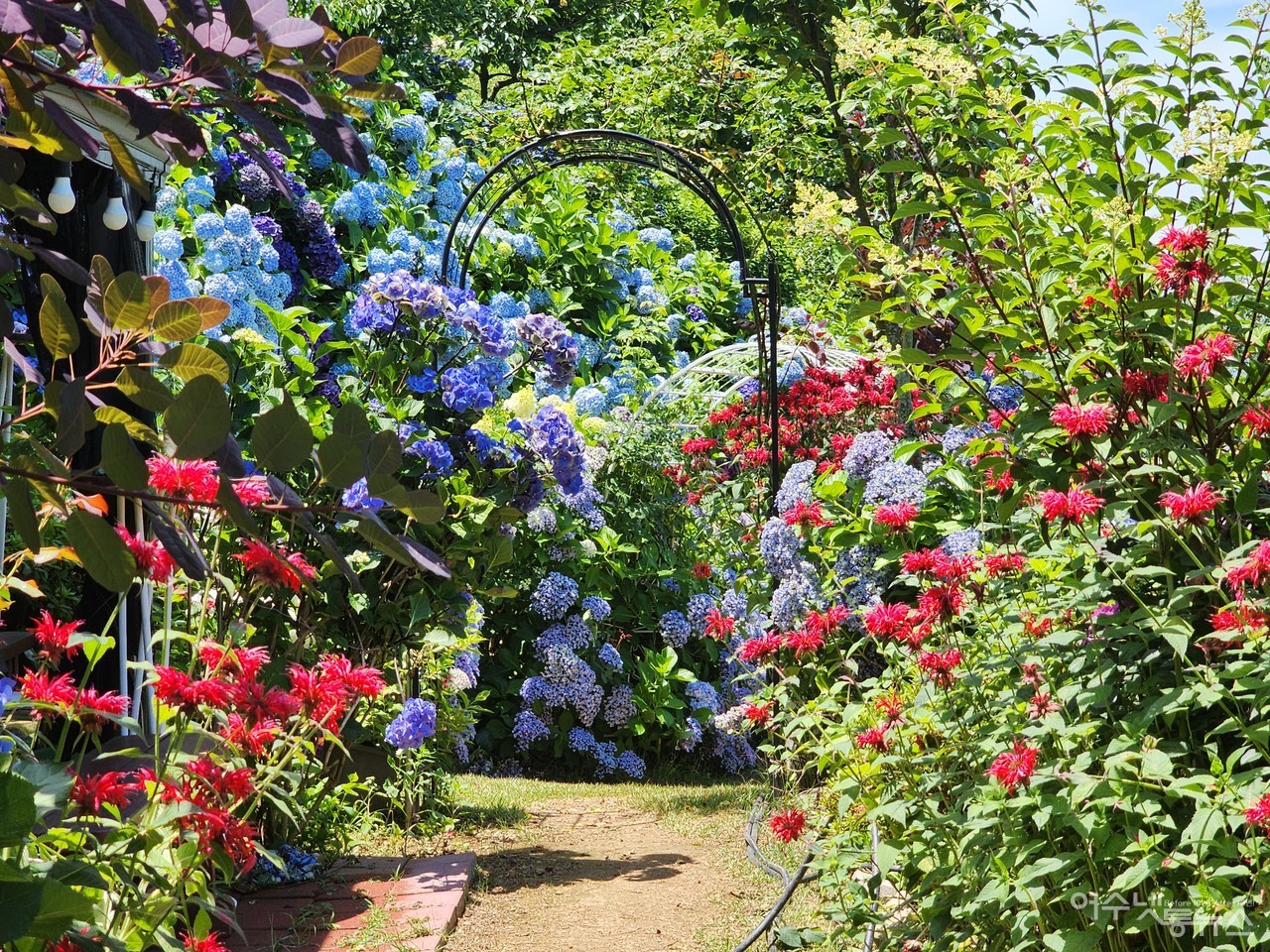 ▲ 전라남도 아름다운 정원 콘테스트에서 최우수상을 수상한 농부의 정원 그로브에 만발한 꽃 ⓒ심명남