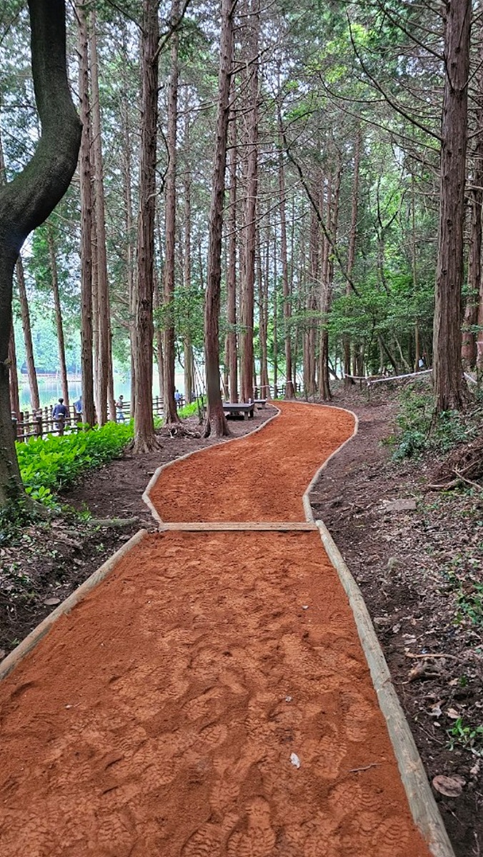 ▲ 봉화산 산림욕장에 관내 최장 1.4㎞의 ‘황토맨발길’이 조성됐다. 