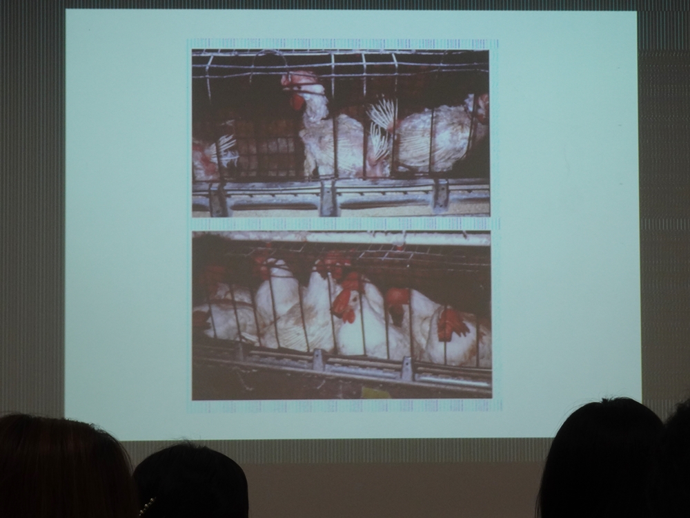 ▲홍 소장은  "분배의 불평등이 아이를 낳는 자유마저 빼앗아가는 현실이 옳은지 다시 생각해보아야 한다"고 강조했다.