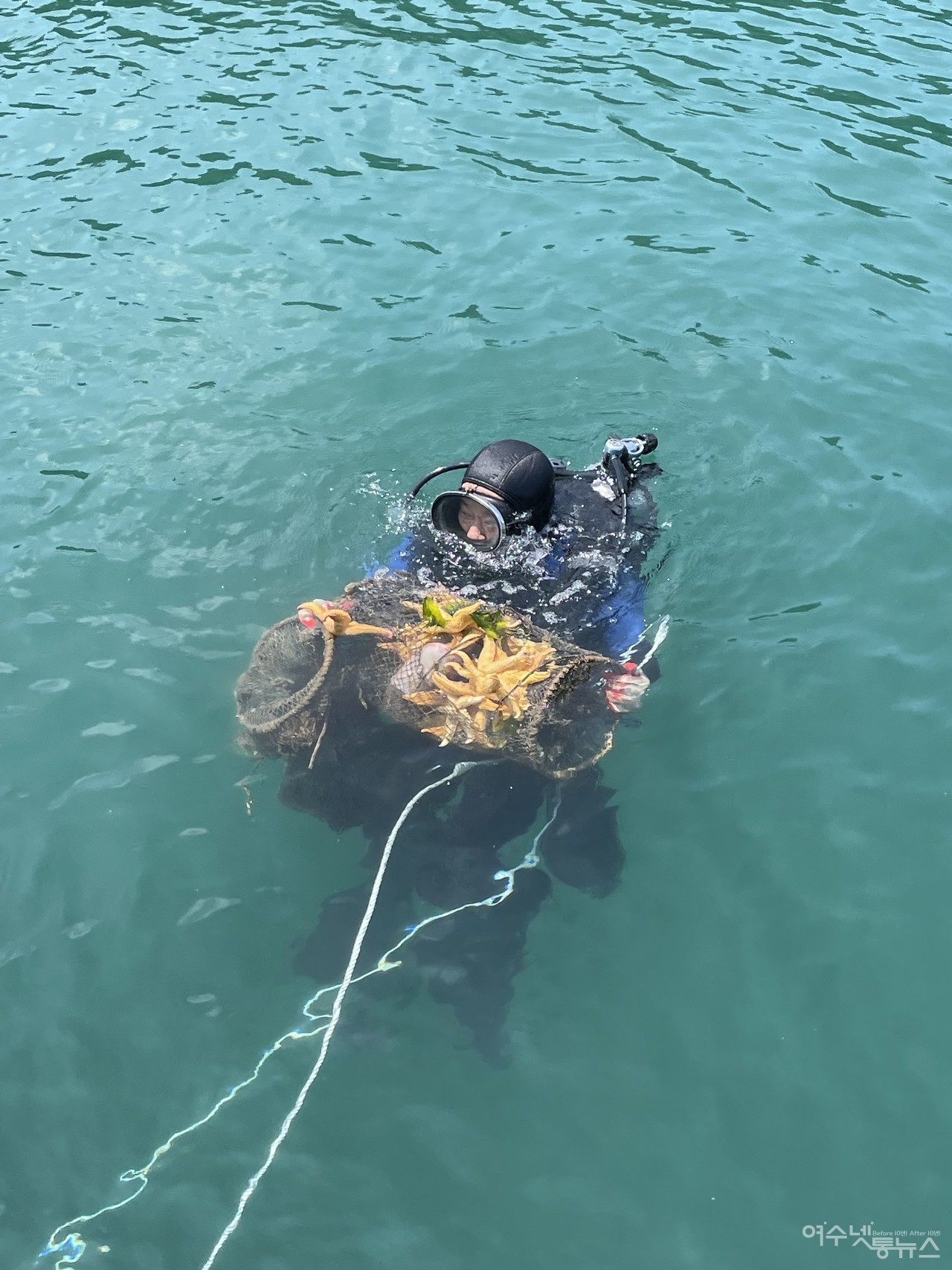 ▲ 수중정화에서 건져올린 불가사리와 폐어구 모습 ⓒ허재구 제공