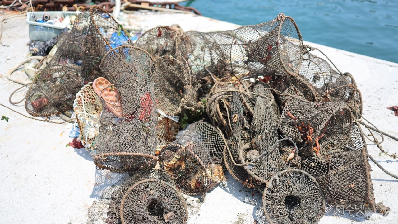 ▲ 수중정화에서 건져올린 폐어구 ⓒ허재구 제공