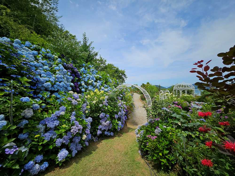 ▲ 화양면 ‘그로브 농부의 정원’