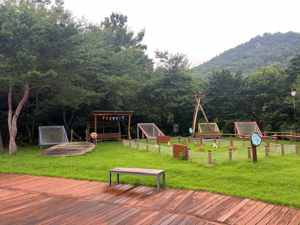 ▲ 사나래 유아숲체험원