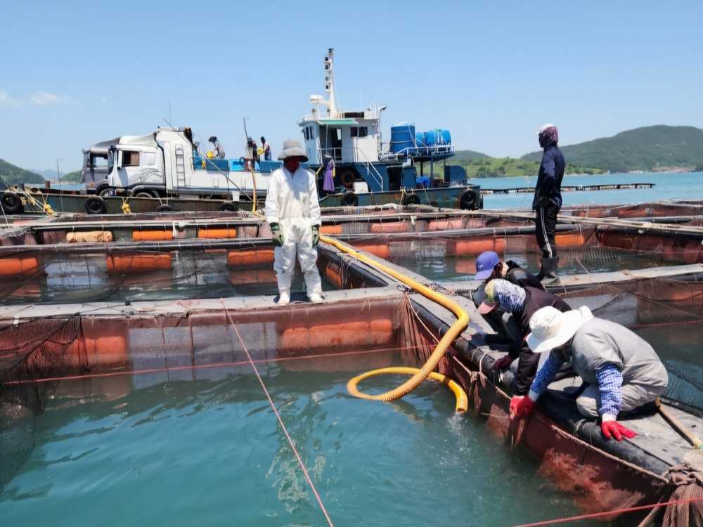 ▲ 적조대책위원회 예찰 활동