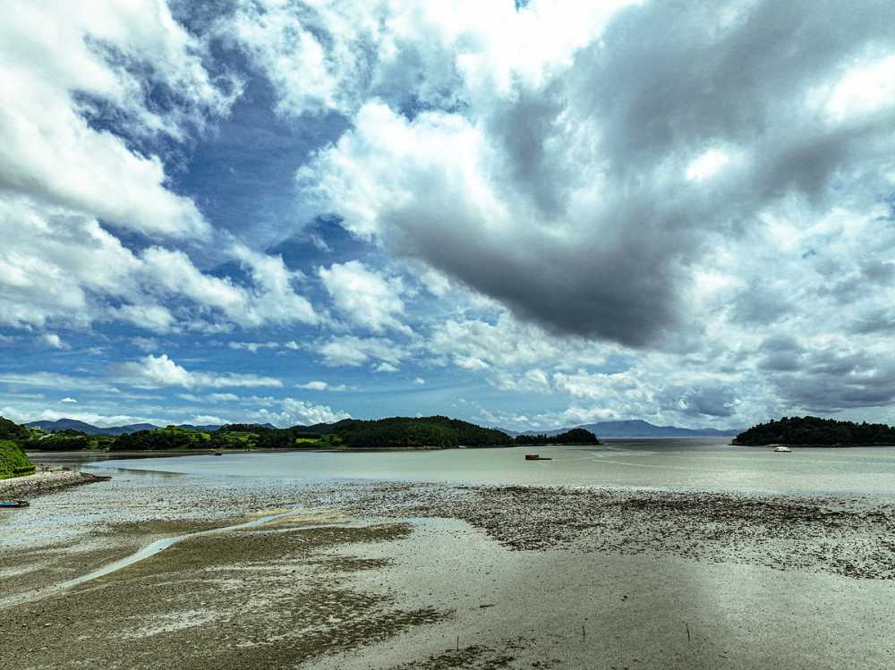 ▲ 여자만 갯벌