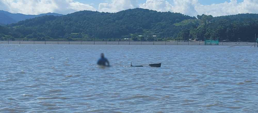 ▲ 갯벌 조사 중 고립된 연구원