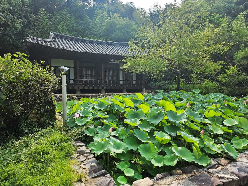 ▲ 서석지와 경정