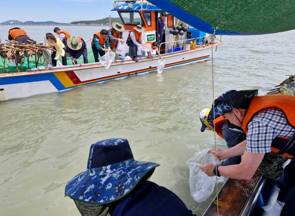 ▲ 어린 주꾸미 종자 방류