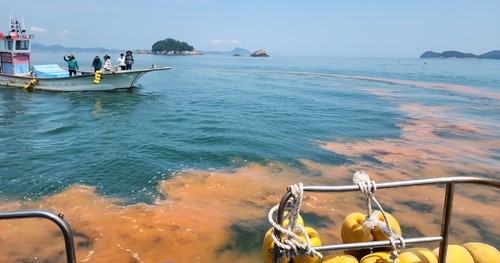 ▲ 적조 나타난 고흥 해역에 황토 살포[고흥군 제공. 재판매 및 DB 금지]