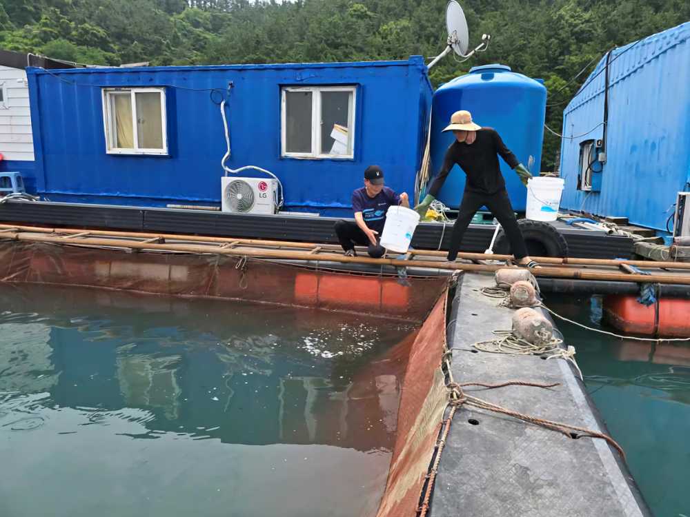 ▲ 여수시가 양식어가의 입식·출하 신고를 당부했다.