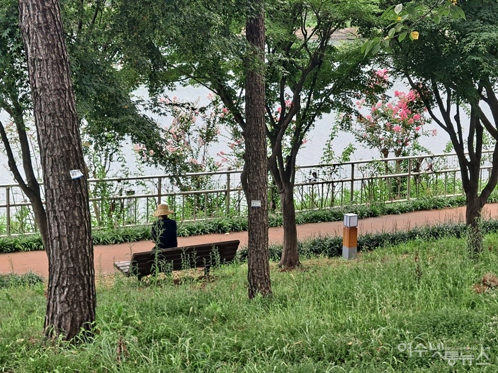 ▲쉼이 있는 공간, 여수 성산공원이다. ⓒ조찬현