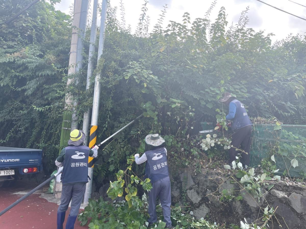 ▲여수시(시장 정기명)가 추석을 앞두고 주요 도시공원 178개소에 대한 대규모 환경정비 작업을 진행한다. ⓒ여수시