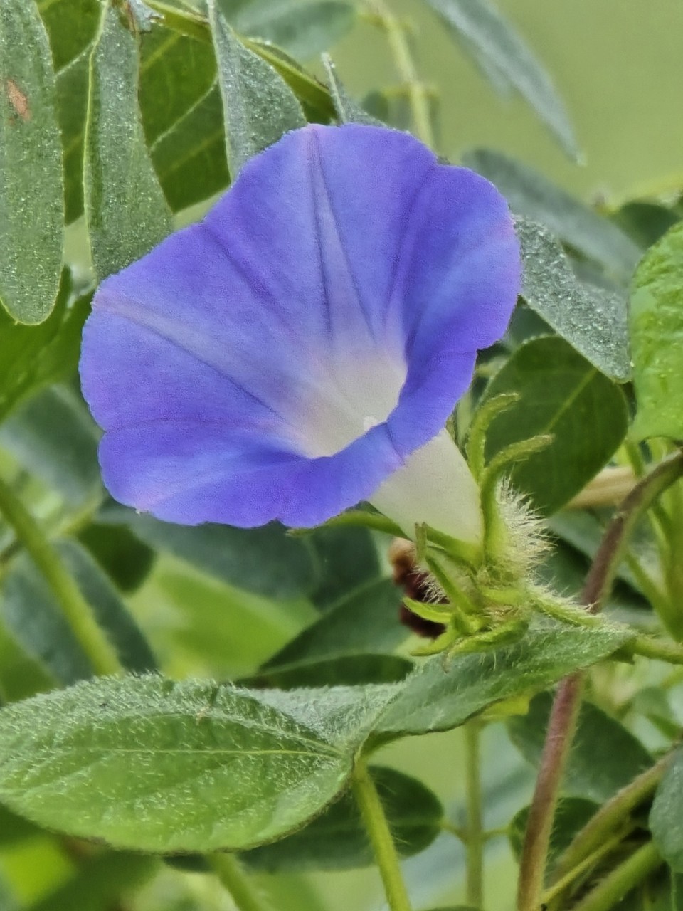 ▲ ⓒ희망은 절망 뒤에 숨어 있다.