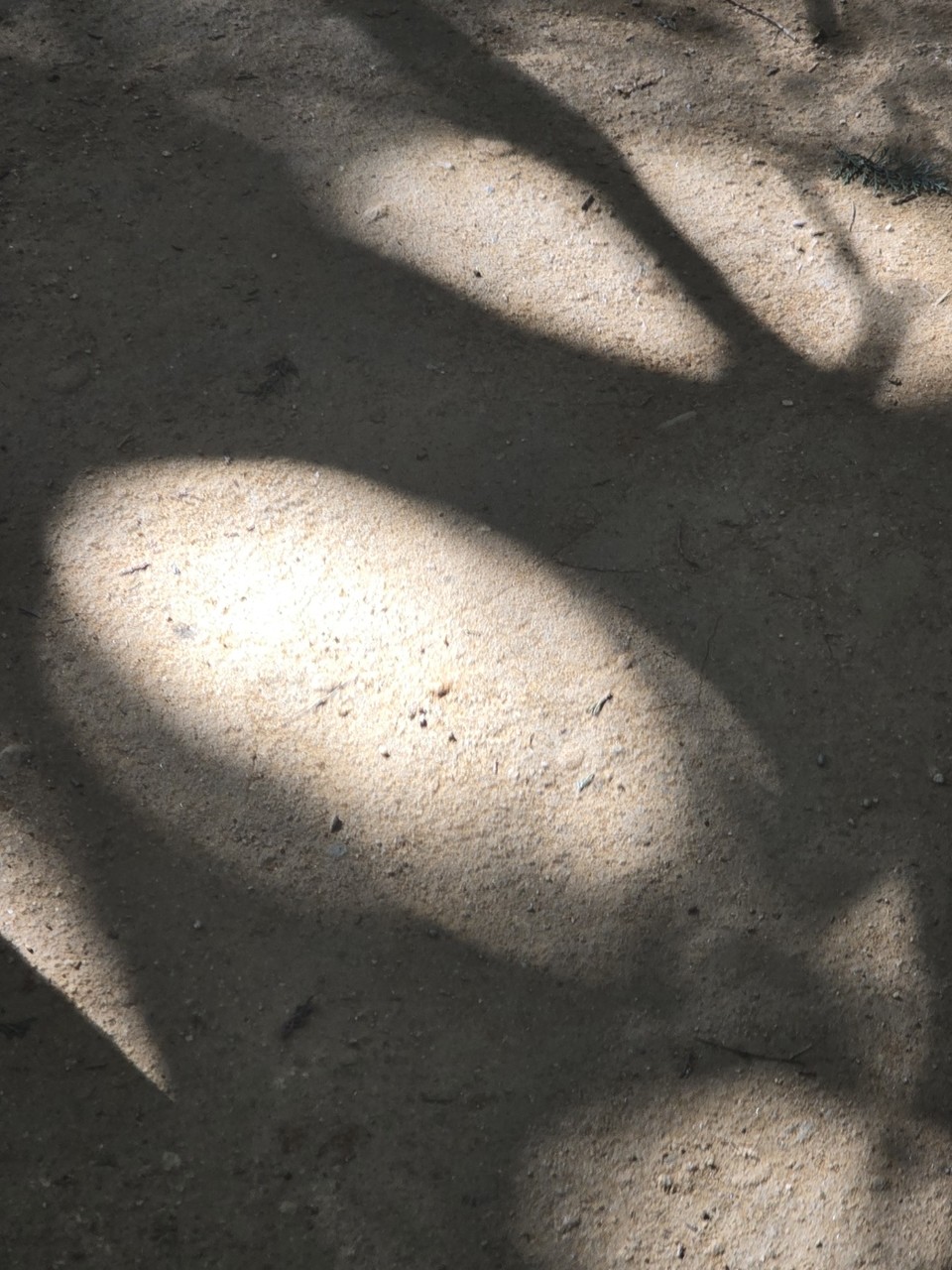 ▲ ⓒ허상에 속지 마라. 허상은 사이비 본질일 뿐이다.